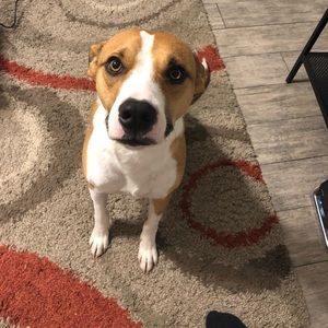 Meet your Posher, Dylan